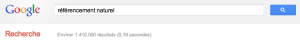 Le nombre de résultats obtenus par Google pour le terme "référencement naturel"