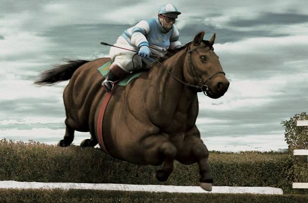 un gros jockey sur un gros cheval