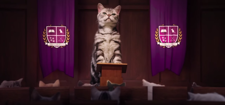 Les vidéos de chats ne servent pas qu'à procrastiner sur le web. Elles s'utilisent aussi à des fins commerciales. Mais qui résiste à ces petits chatons?