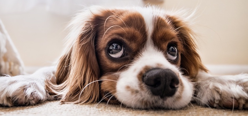 Marketing de l'empathie : 3 stratégies pour l'adopter en 2018